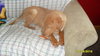Rusty