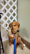 Rusty