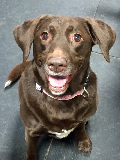 Coco
