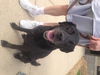 Onyx