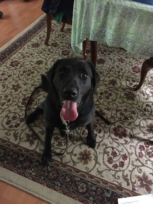 Murphy