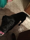 Murphy