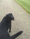 Murphy