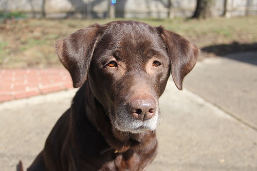 Mimi