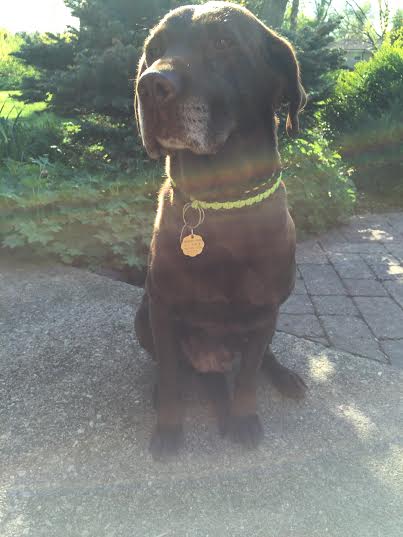 Winnie