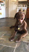 Winnie