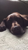 Winnie