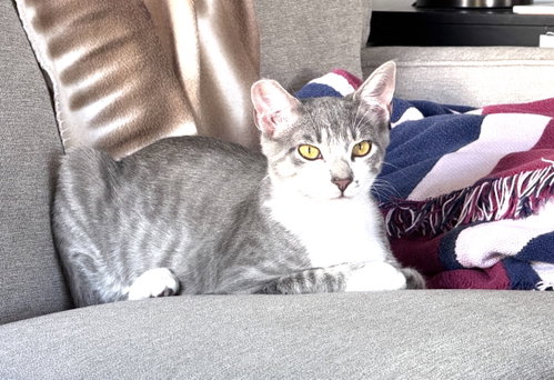 Photo 3 of Natasha
