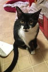 Esme