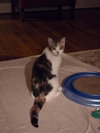 Farah - Photo 1