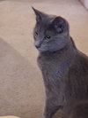Chloe