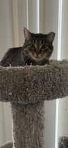 Jackie - Photo 2