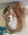 Derry