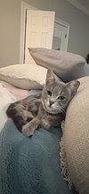 Ethel
