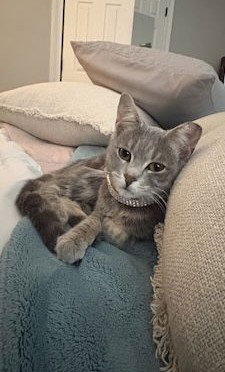Ethel