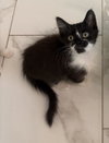 Biba - Photo 1