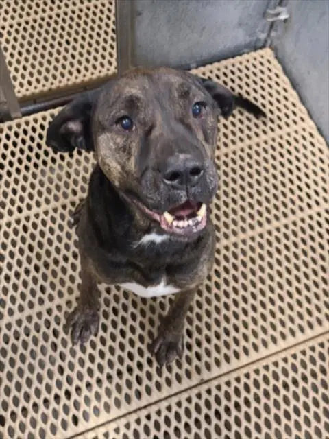 Fiona image 1