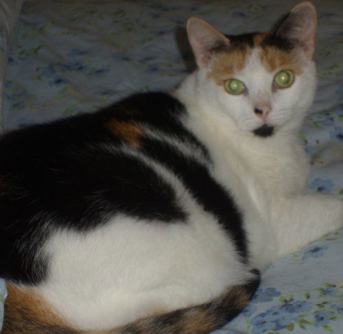 Catherine