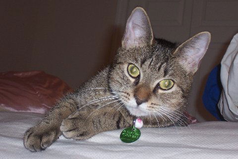 Lily