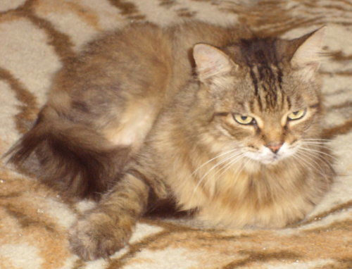 Fiona