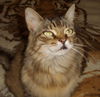 Fiona