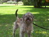 Luckie