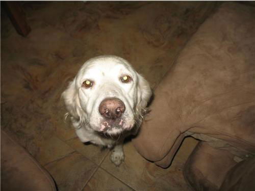 Casper