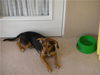Winny
