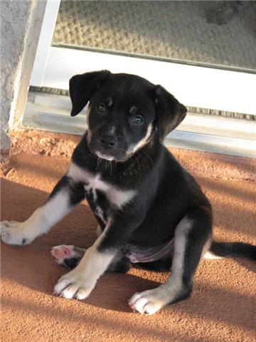 Charlie