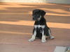 Charlie