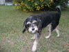 Maggie