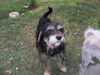 Maggie