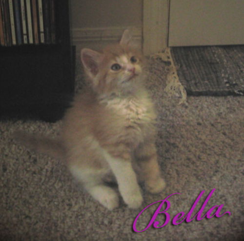 Bella