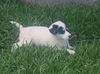 Finian