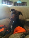 Jake