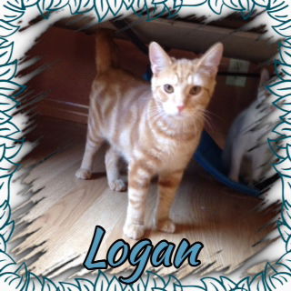 Logan