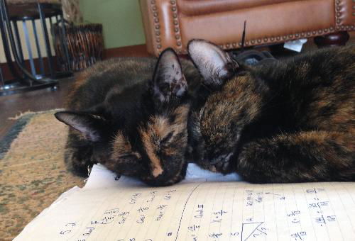 Luna & Poca