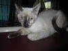Charlie