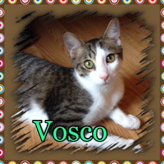 Vosco