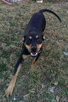 Charlie