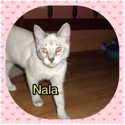 Nala