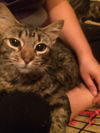 Lucy