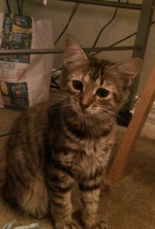 Lucy