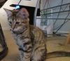 Lucy