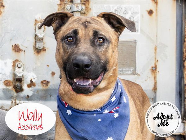 WALLY