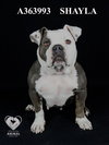 RUBY - Photo 1