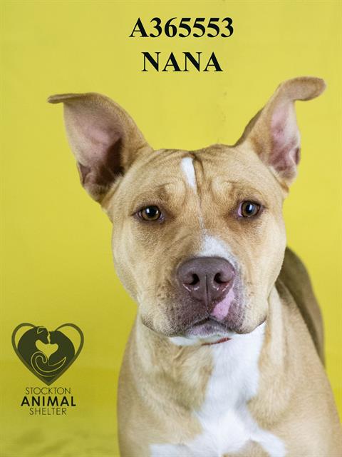 NANA Image