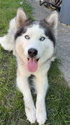 SAGE - Photo 1