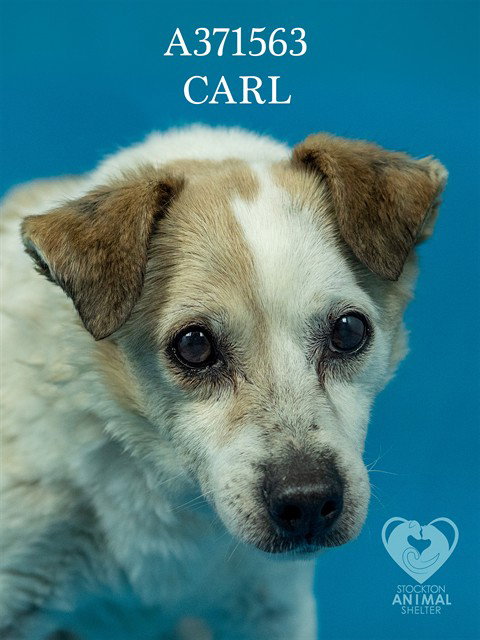 Carl