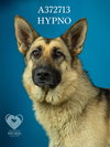 HYPNO - Photo 1